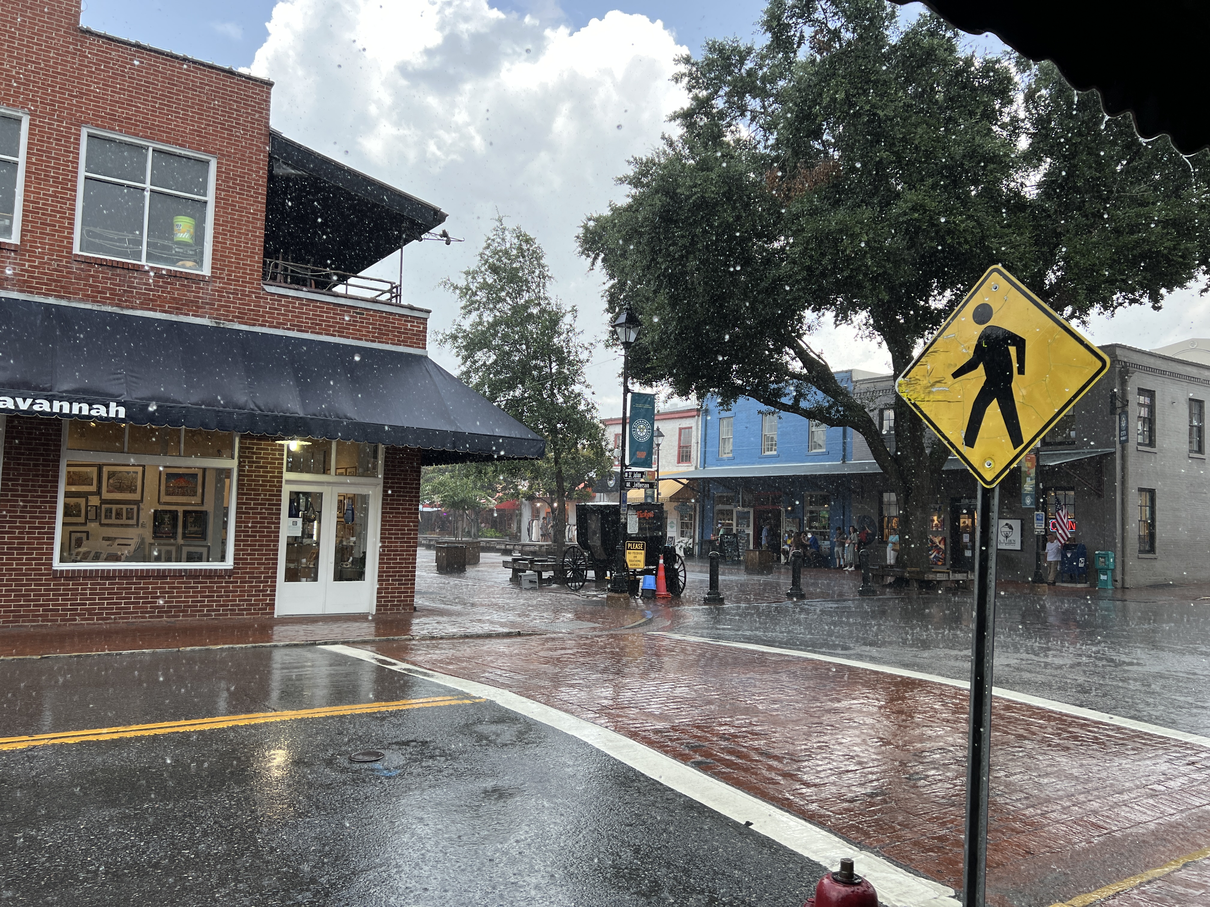 ./2025/06 - Savannah/IMG_5845.JPG